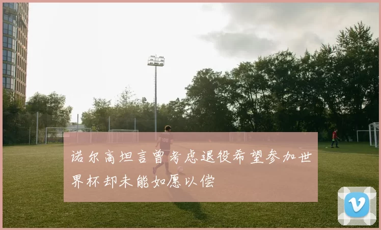 诺尔高坦言曾考虑退役希望参加世界杯却未能如愿以偿